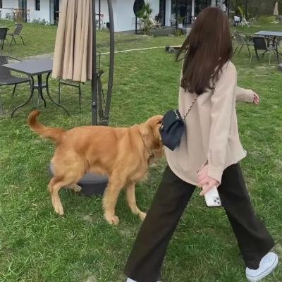 造口人